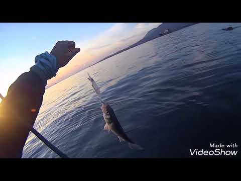 Lure Duo Tide Minnow 90s