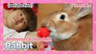 Download lagu iKON Jinhwan & Hanbin with cute Rabbit🐇❣ mp3