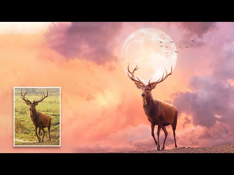 Deer of Sun Photoshop Manipulation Photoshop CC Tutorials
