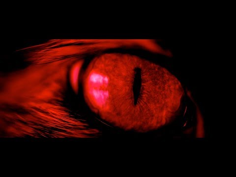 Don Fuego feat. Xen - "Club 27" - Prod by Lii | AtlazFilms