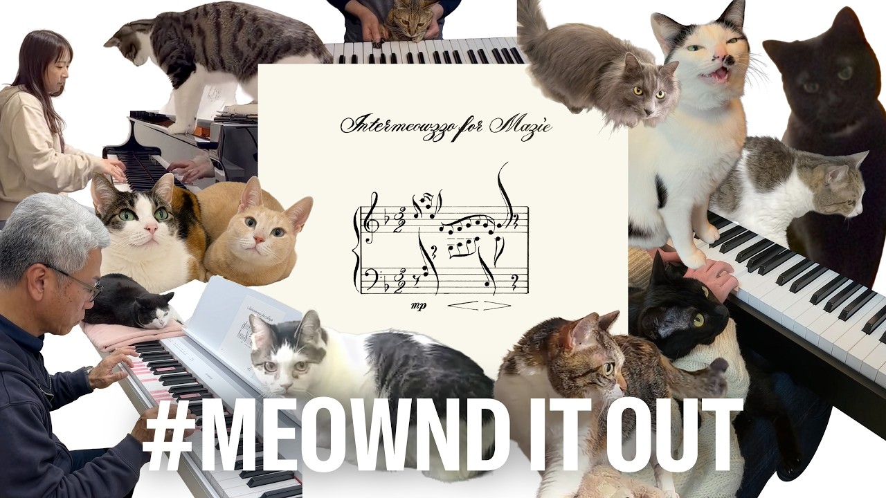 Music scores inspiring cat lovers to sound it out #MeowndItOut - Yamaha Music