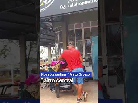 Nova Xavantina  / Mato  Grosso