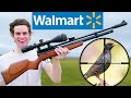 Hunting with the Cheapest PCP Air Rifle at Walmart!