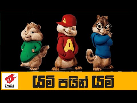 Yami Pain Yami Wasthi Production Music on Chipmunks voice