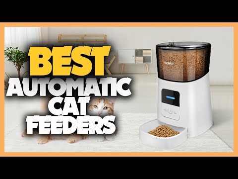 10 Best Automatic Cat Feeders 2022 [ Top 10 Best Cat Feeders Picks ]