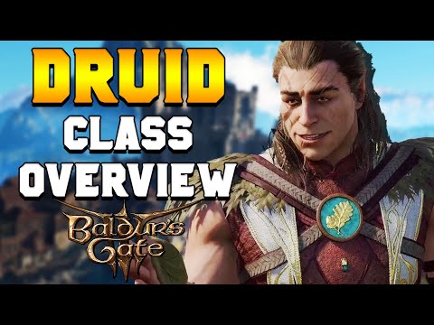 Baldur's Gate 3: Druid Class & Subclass Guide & Overview | BG3