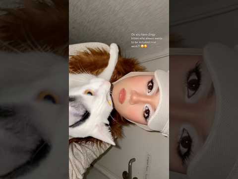 #cats #kitten #shorts #makeup #makeupartist #makeuptrend #cat #funny #lol #bjr