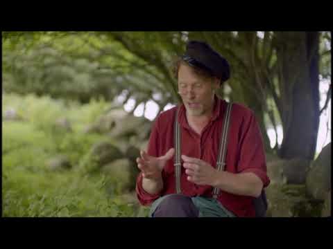 Mandelmann tar ett oväntat beslut