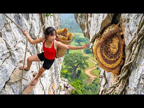 Harvesting a Giant Beehive on the Mountainside and Transporting It Home for Care