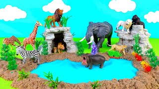 DIY Wild Habitat Diorama- Animal World Preschool Project- educational video for kids