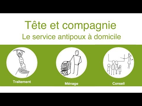 comment traiter efficacement les poux