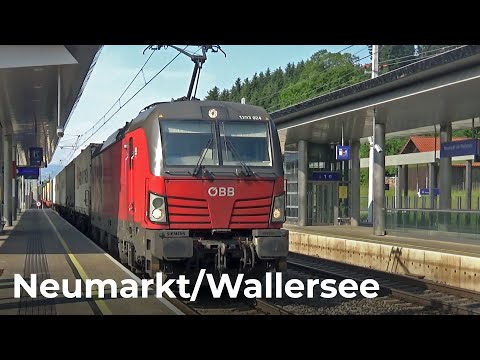 Osterreichisch Züge Vlog #86 - Neumarkt am Wallersee 07.06.2023