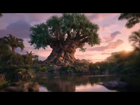 Disney’s Animal Kingdom Ambience 🌍✨ | Relaxing Jungle Sounds & Park Atmosphere