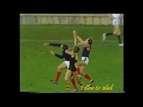 1983 VFL/AFC Sterling Cup Richmond Vs Norwood