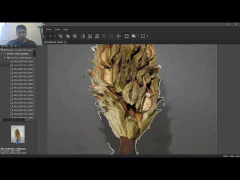 Metashape Guide for Openscan and Cellphone images.