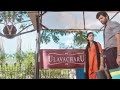Tu Hi Tu Hai Rashmika Manddana And Vijay Devekonda Rammantic Efx Status