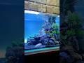 Creating An Underwater Sand Waterfall Aquarium