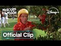Hal Discovers Race Walking Malcolm In The Middle Disney UK