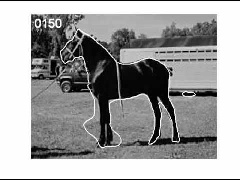 Prior Knowledge, Level Set Representations & Visual Grouping