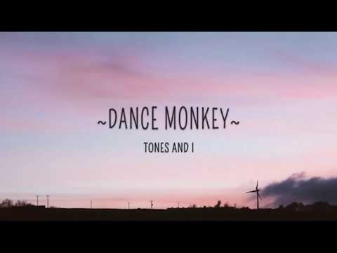 Tones And I Dance Monkey Karaoke Lower Key Male Version -5