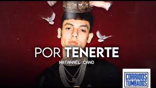 Por Tenerte - Natanael Cano (Official Audio)