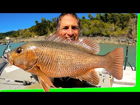 Overnight solo boat camping - Gale force wind turns into lots of fish - Catch and Cook - EP.572