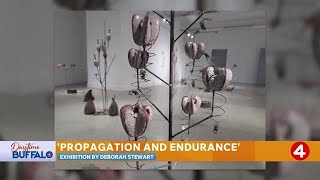 Daytime Buffalo: Examine the Strength in Fragility in 'Propagation and Endurance'