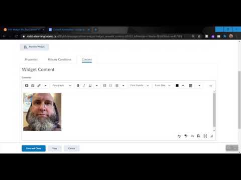 Creating Custom Widgets D2l