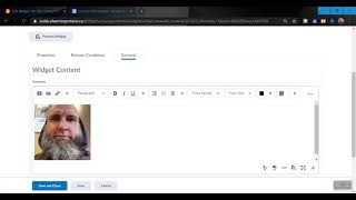 Creating Custom Widgets D2L