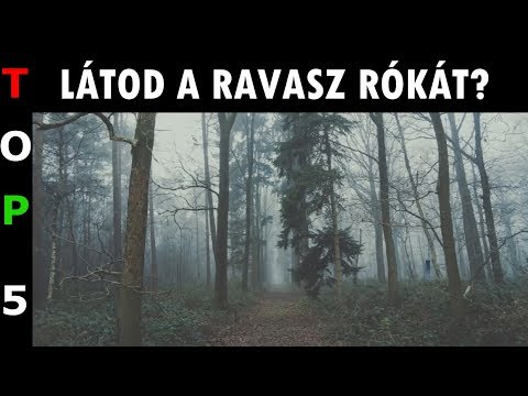 figyelje a parazita hatalmas növekedés boncolását emberből származó hal paraziták kezelése