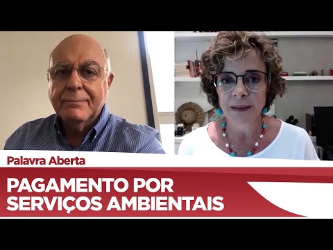 Arnaldo Jardim fala da importância da aprovação do pagamento por serviços ambientais - 23/12/20