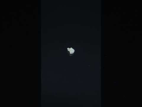 YouTube 썸네일