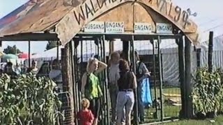 Waldheim Festival 1995 - Das ehemalige Kult-Festival in Nordfriesland