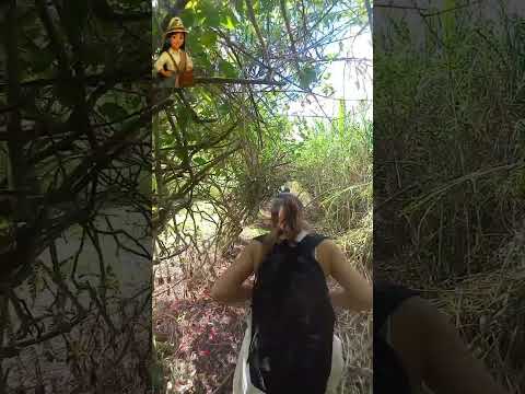 vamos a caminar hacia Los Chorros de San Rafael aquí en Calarca Quindio Colombia ❤️