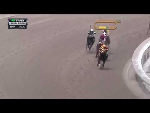 RACE REPLAY: 2017 Royal Delta Stakes Featuring Curlin's Approval