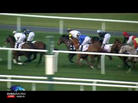 03.02.2012 Meydan (Dubai UAE) 6.Race Tabloid Trophy - Handicap 2.810 m