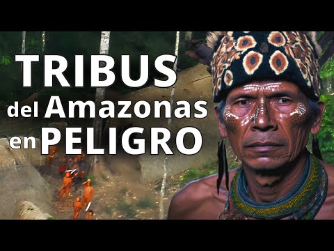 , title : '10 tribus del Amazonas que podrían extinguirse'