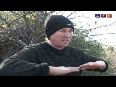 Descoperire macabră în localitatea constănţeană Oltina - Litoral TV