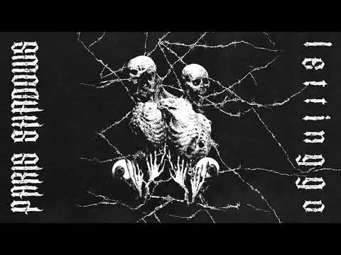 Paris Shadows - Letting Go ( Official Audio)