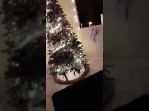 User submitted video