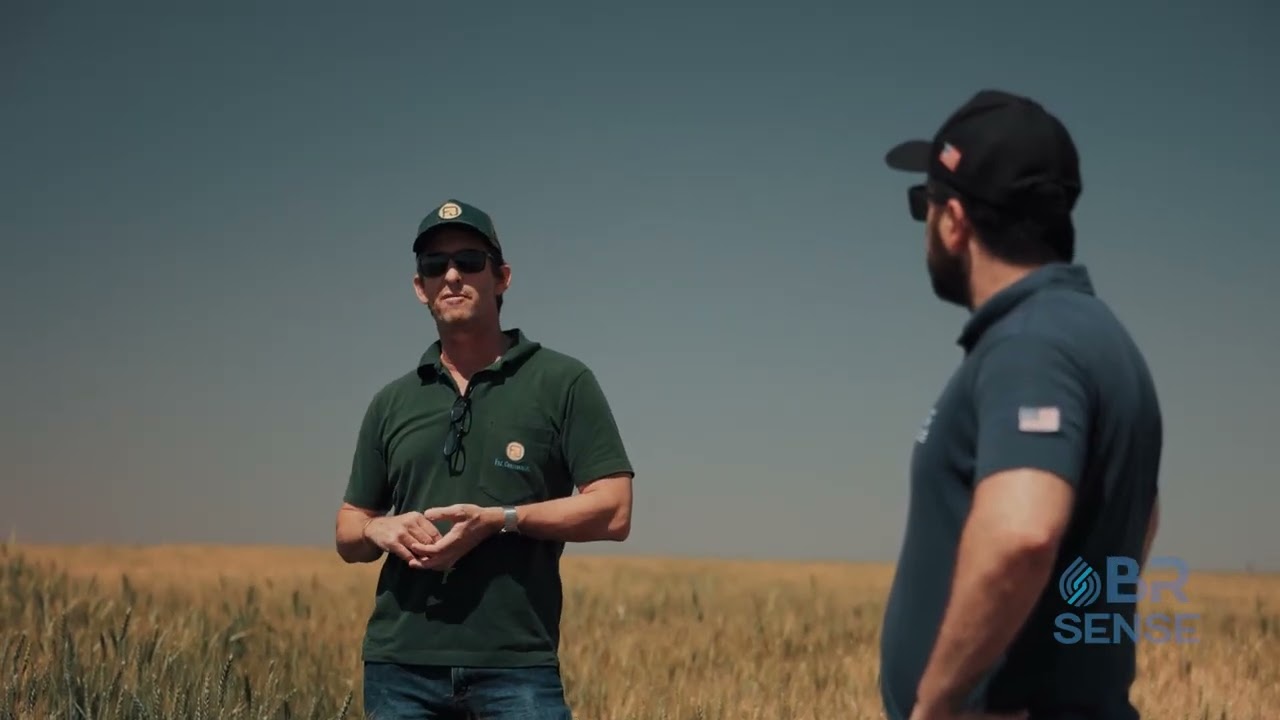 A irrigação transformou a realidade da fazenda