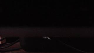 Afternoon Wake Up Call