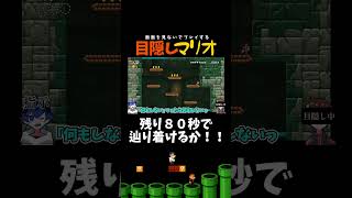 【目隠しマリオ】80秒で過去最大の難所！！！！