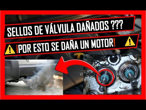 5 Symptoms of Damaged Valve Seals 🔥 This happens to your engine!