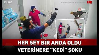 Veterinere #kedi şoku... Her şey bir anda oldu