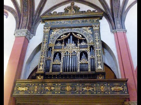 Palestrina - Loquebantur variis linguis with diminutions of Bruce Dickey. Liuwe Tamminga, organ