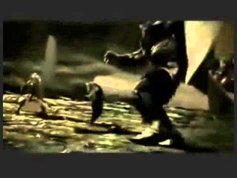 Singing Cologne-A Jungle Out There.wmv