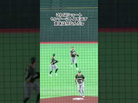 そりゃスルーされるよ #wbc #侍ジャパン #オーストラリア