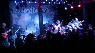 Fatal Step- Painkiller (Cover)