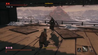sekiro　お蝶ノーダメ練習　さらなる苦難